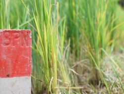 Nusron Wahid Imbau Masyarakat Pasang Patok Permanen