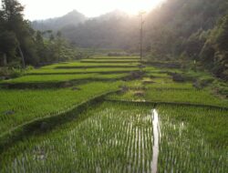 Pembangunan Harus Berkeadilan, Menteri Nusron: Reforma Agraria Jawab Ketimpangan Penguasaan dan Pemilikan Tanah