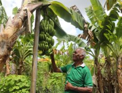 Kampung Reforma Agraria Jangkau Desa Baumata Kupang