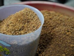 Pendampingan Usaha Gula Semut, Reforma Agraria Bangkitkan Kemandirian Ekonomi Desa Hargorejo di Kulon Progo