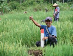 Mudik ke Kampung Halaman? Jaga Batas Tanah sebagai Langkah Awal Cegah Konflik Antartetangga